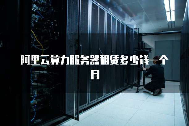 阿里云算力服务器租赁多少钱一个月