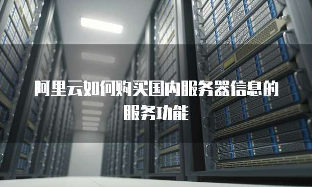 阿里云如何购买国内服务器信息的服务功能
