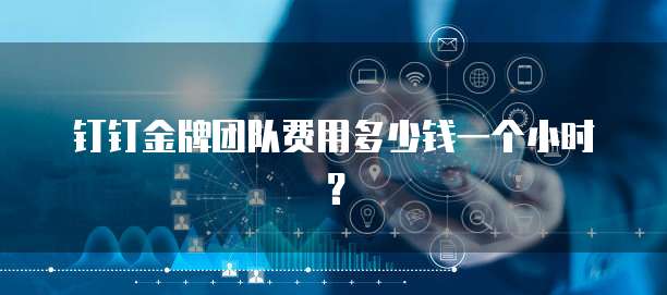 钉钉金牌团队费用多少钱一个小时？