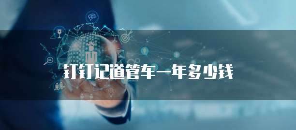 钉钉记道管车一年多少钱