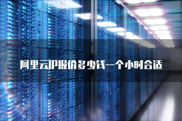 阿里云IP报价多少钱一个小时合适
