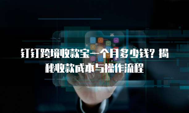 钉钉跨境收款宝一个月多少钱?揭秘收款成本与操作流程