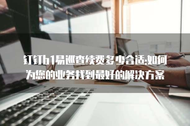 钉钉b1易巡查续费多少合适:如何为您的业务找到最好的解决方案