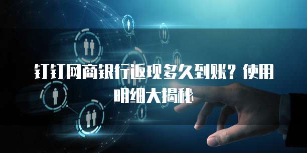 钉钉网商银行返现多久到账?使用明细大揭秘