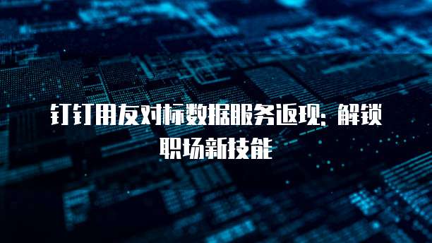 钉钉用友对标数据服务返现: 解锁职场新技能