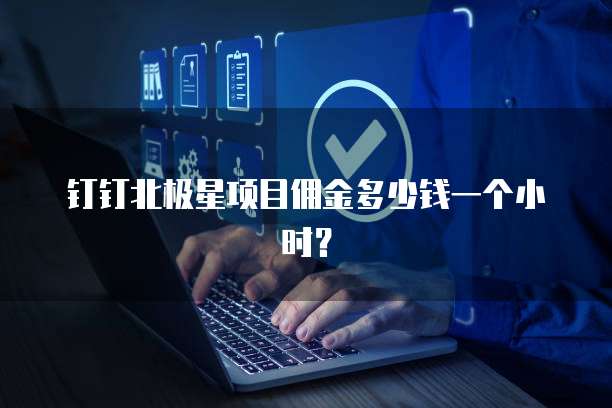 钉钉北极星项目佣金多少钱一个小时?