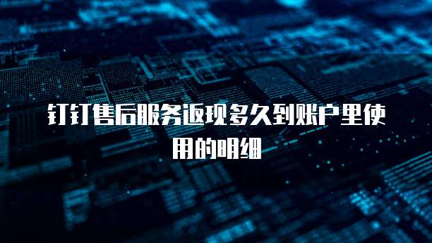 钉钉售后服务返现多久到账户里使用的明细