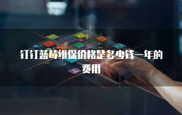 钉钉蓝莓维保价格是多少钱一年的费用