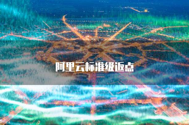 阿里云标准级返点
