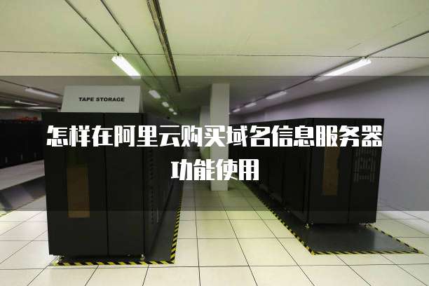 怎样在阿里云购买域名信息服务器功能使用
