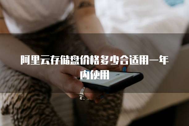 阿里云存储盘价格多少合适用一年内使用