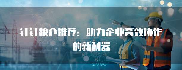 钉钉粮仓推荐:助力企业高效协作的新利器