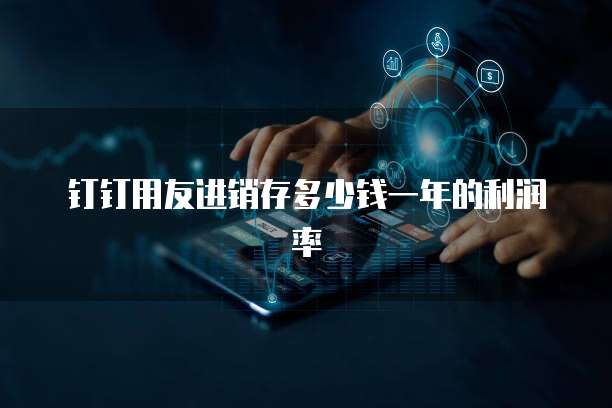 钉钉用友进销存多少钱一年的利润率