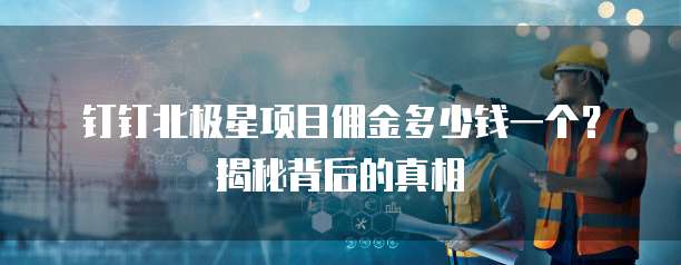 钉钉北极星项目佣金多少钱一个?揭秘背后的真相