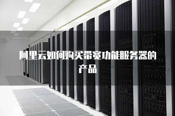 阿里云如何购买带宽功能服务器的产品