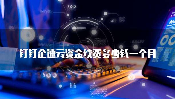 钉钉企速云资金续费多少钱一个月