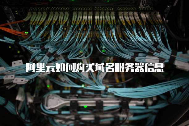 阿里云如何购买域名服务器信息
