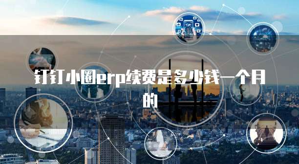 钉钉小圈erp续费是多少钱一个月的