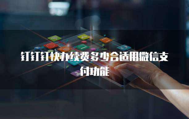 钉钉钉快办续费多少合适用微信支付功能