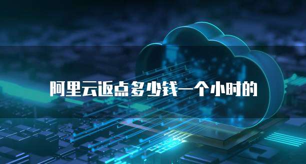 阿里云返点多少钱一个小时的