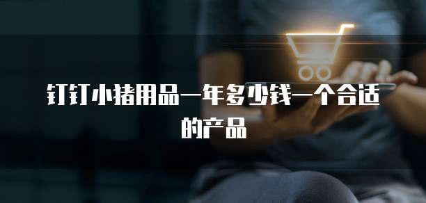 钉钉小猪用品一年多少钱一个合适的产品