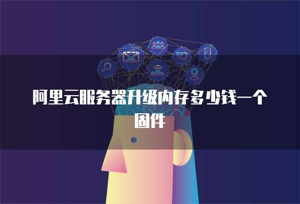阿里云服务器升级内存多少钱一个固件