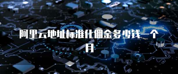 阿里云地址标准化佣金多少钱一个月
