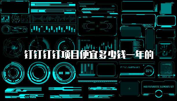 钉钉钉钉项目便宜多少钱一年的