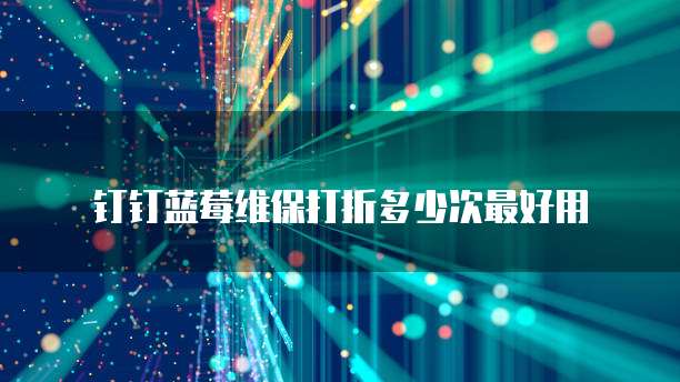 钉钉蓝莓维保打折多少次最好用