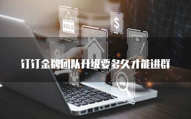 钉钉金牌团队升级要多久才能进群