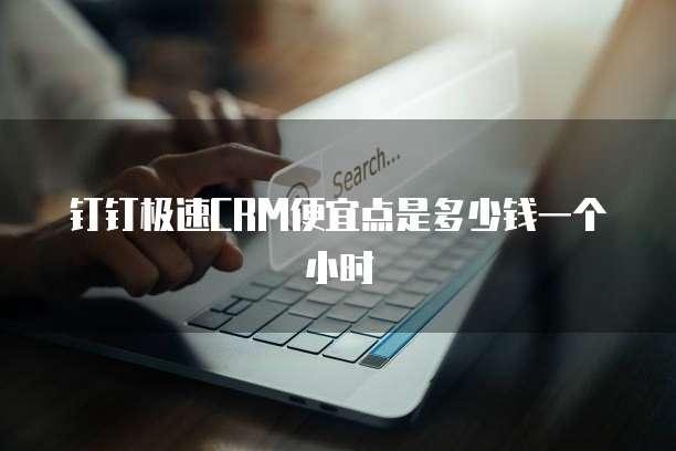 钉钉极速CRM便宜点是多少钱一个小时