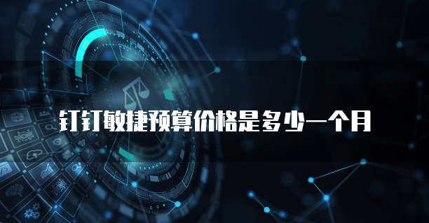 钉钉敏捷预算价格是多少一个月