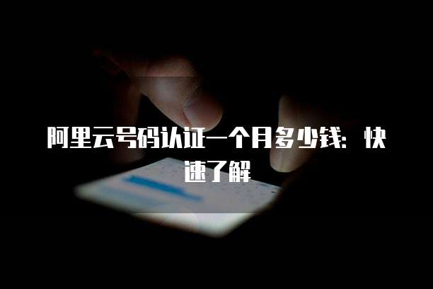 阿里云号码认证一个月多少钱:快速了解
