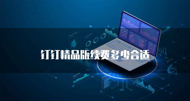 钉钉精品版续费多少合适