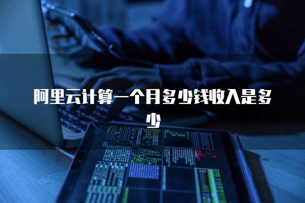 阿里云计算一个月多少钱收入是多少