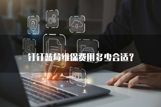 钉钉蓝莓维保费用多少合适?