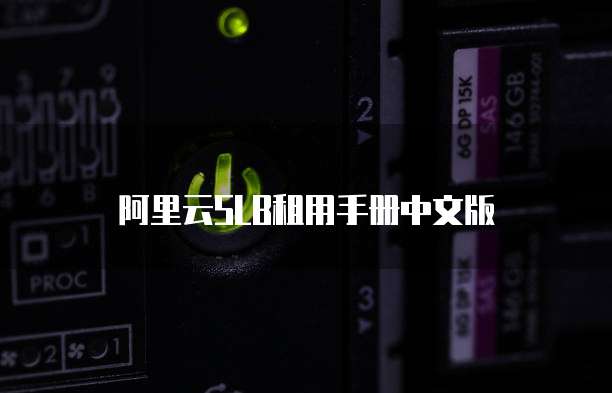 阿里云SLB租用手册中文版