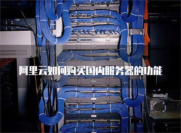 阿里云如何购买国内服务器的功能