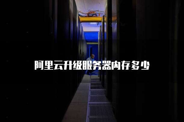 阿里云升级服务器内存多少