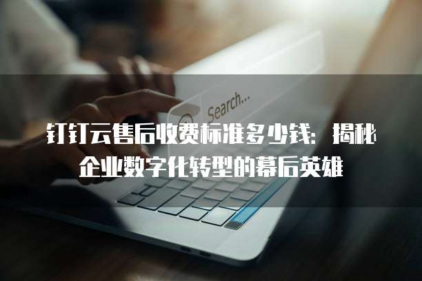 钉钉云售后收费标准多少钱:揭秘企业数字化转型的幕后英雄