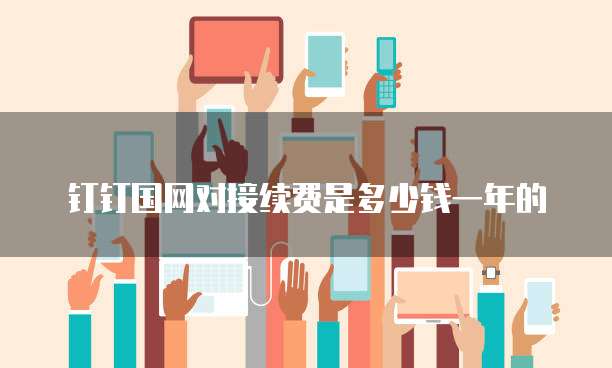 钉钉国网对接续费是多少钱一年的