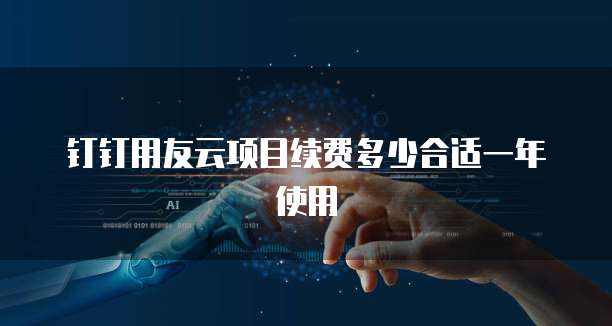 钉钉用友云项目续费多少合适一年使用
