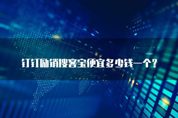 钉钉励销搜客宝便宜多少钱一个?