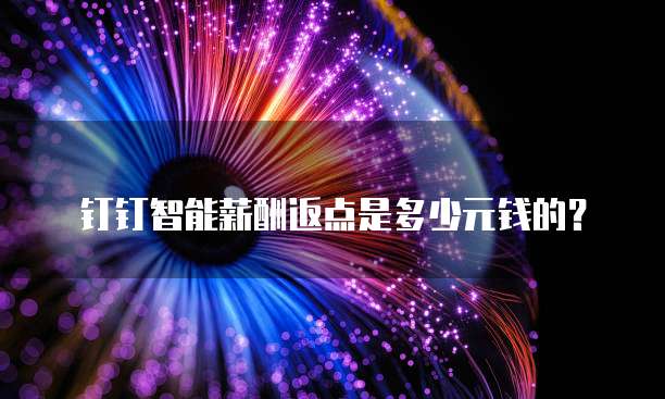 钉钉智能薪酬返点是多少元钱的?