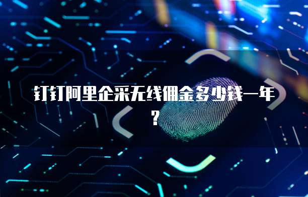 钉钉阿里企采无线佣金多少钱一年?