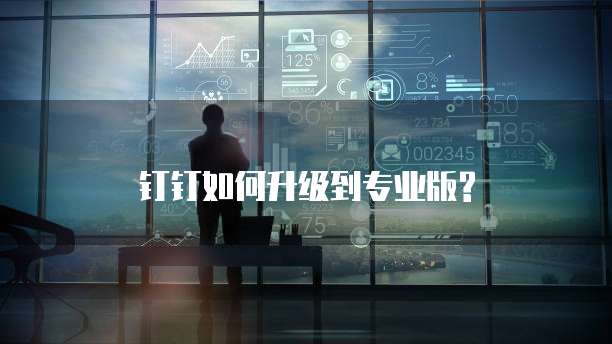 钉钉如何升级到专业版?
