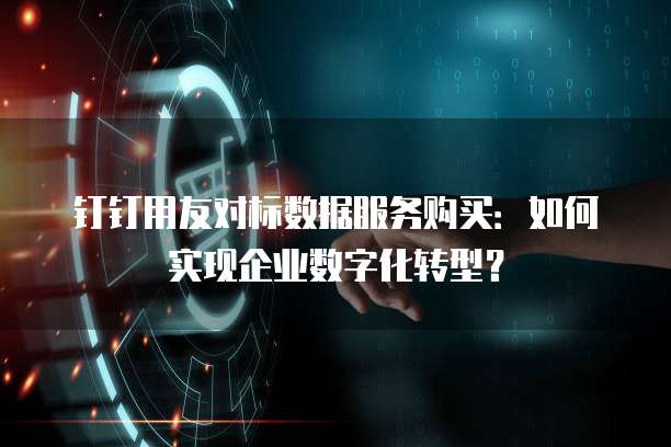 钉钉用友对标数据服务购买：如何实现企业数字化转型？