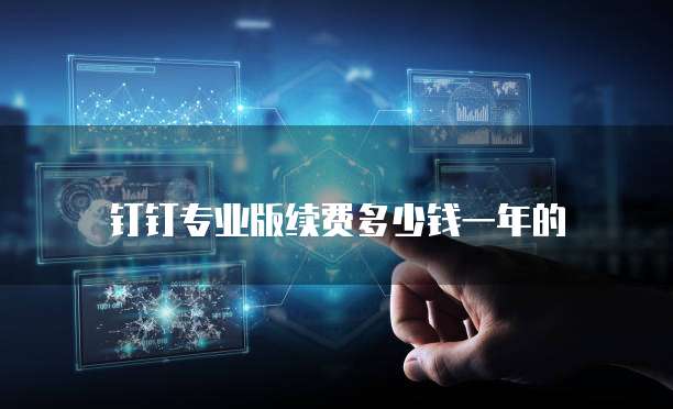 钉钉专业版续费多少钱一年的