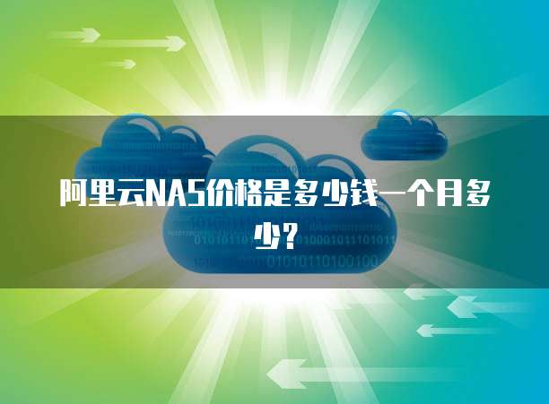 阿里云NAS价格是多少钱一个月多少?