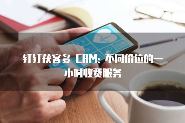 钉钉获客多 CRM: 不同价位的一小时收费服务